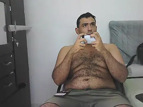 IronSideBear webcam