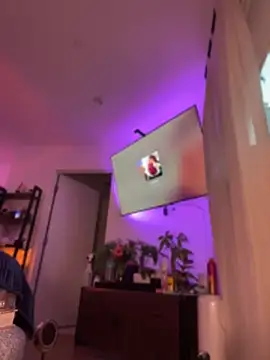 alldogsgotoheaven webcam