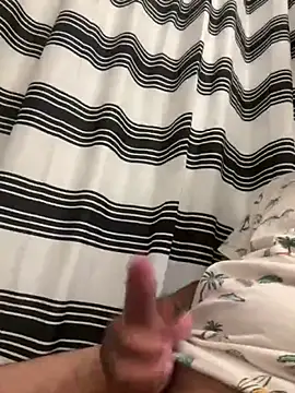 quartzvital webcam