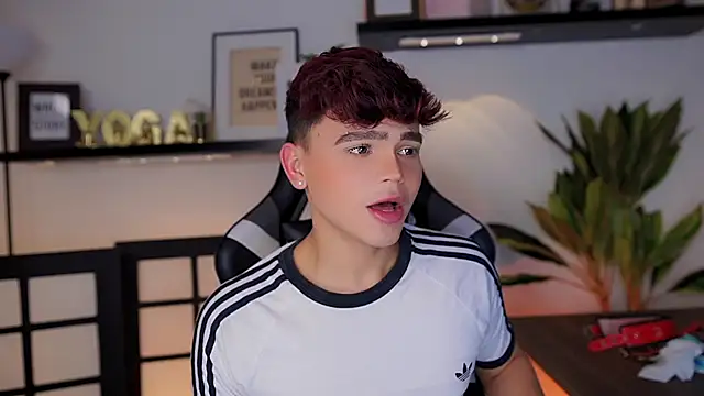 PRINCE_STEV webcam