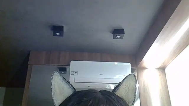 SkinnyKitten webcam
