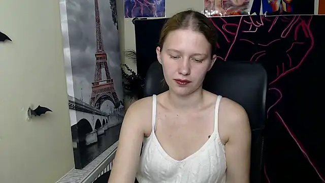 StellaCRL webcam