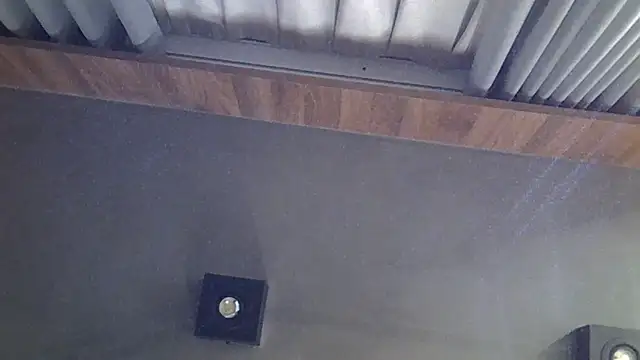 SkinnyKitten webcam