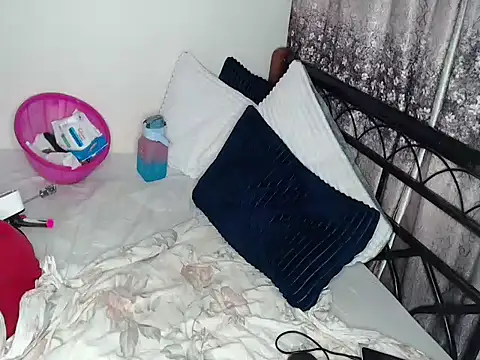 Whimsicalwillow webcam