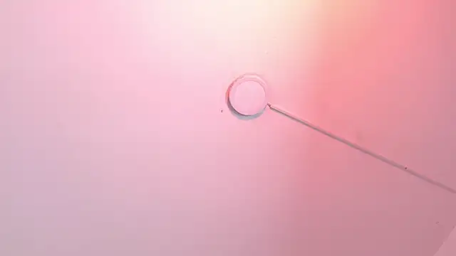 ladymooncs webcam