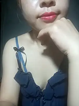 embe1144 webcam