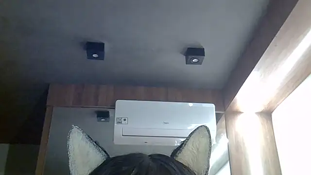 SkinnyKitten webcam