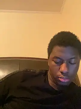 ThickDic28 webcam
