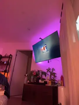 alldogsgotoheaven webcam