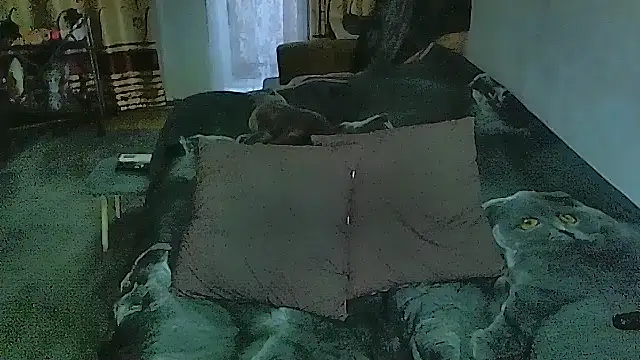 sex2 webcam