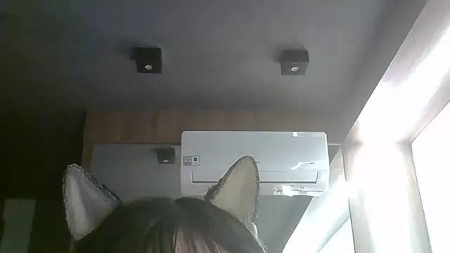 SkinnyKitten webcam