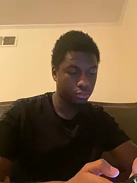 ThickDic28 webcam