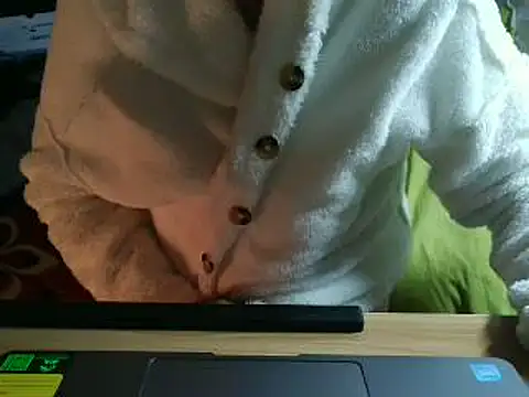 VeneRed webcam