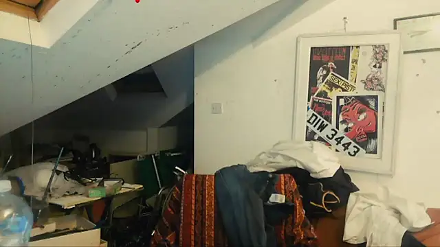 mista_sista_fista webcam
