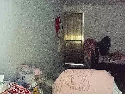 RebelAura webcam