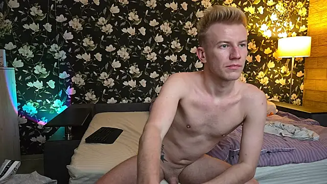Vuitton webcam