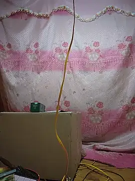 Reeoo-93 webcam