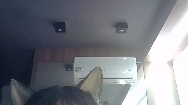 SkinnyKitten webcam