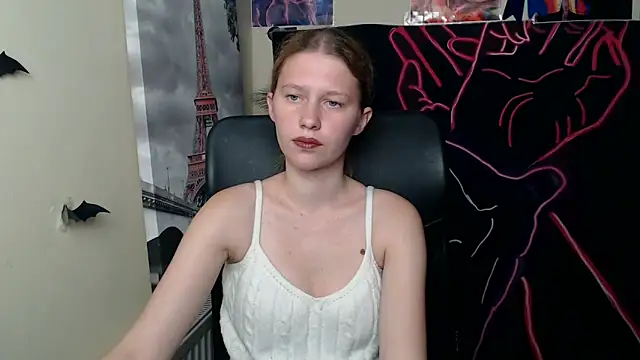 StellaCRL webcam