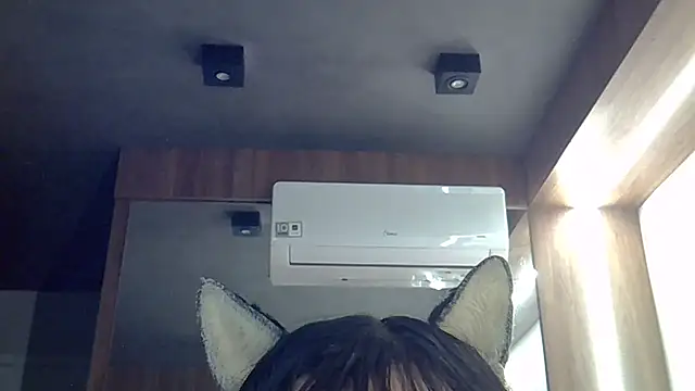 SkinnyKitten webcam