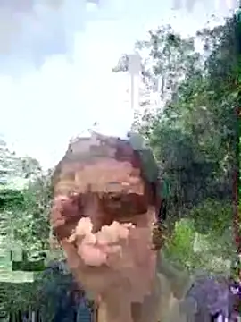 toyo_668 webcam