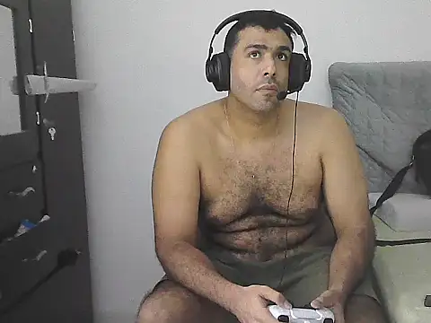 IronSideBear webcam