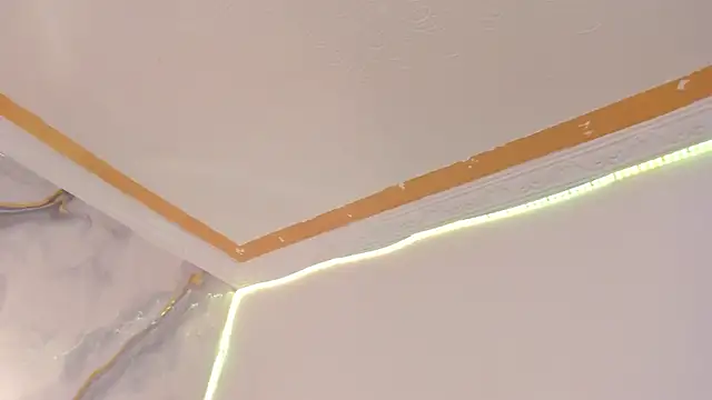 Zasha_nm webcam
