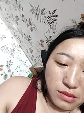 zhen-zo webcam