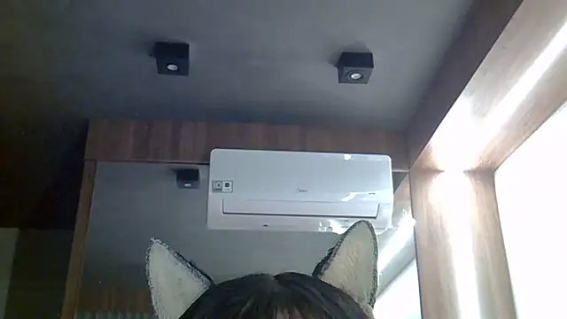 SkinnyKitten webcam