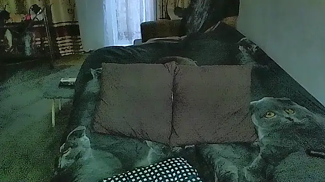 sex2 webcam