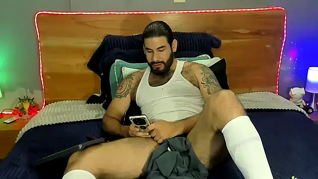 Prometeo-grizzly webcam