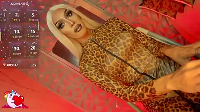 anitacruise webcam