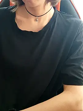 Aashikalaa webcam