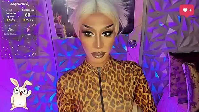 anitacruise webcam