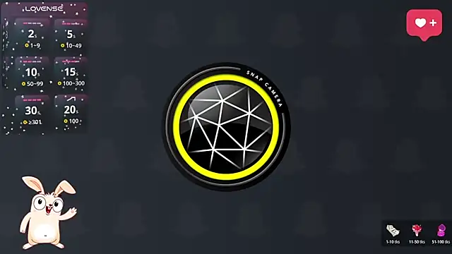 anitacruise webcam