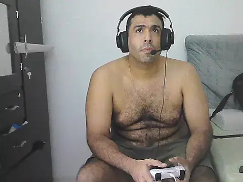 IronSideBear webcam