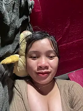 beobeo_2xx webcam