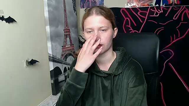 StellaCRL webcam