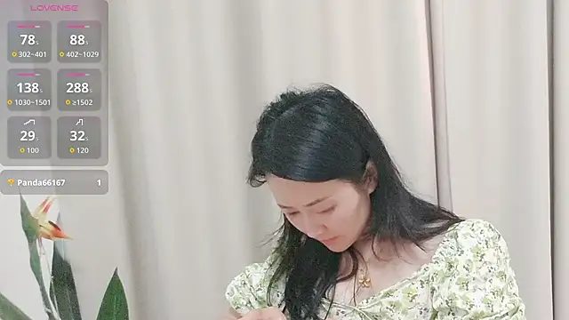 fanfan-FF webcam