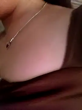 mptan73 webcam