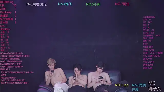 AAA-winner webcam