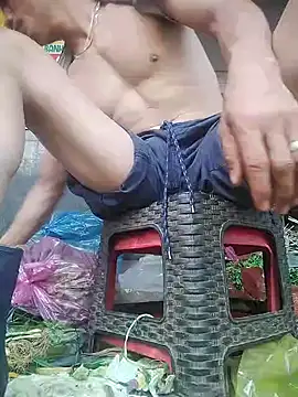 traiwe06 webcam