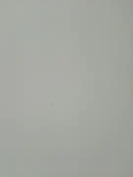 DiamondNath_ webcam