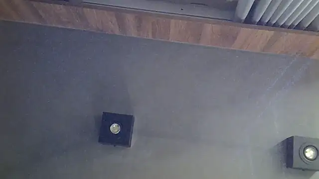 SkinnyKitten webcam