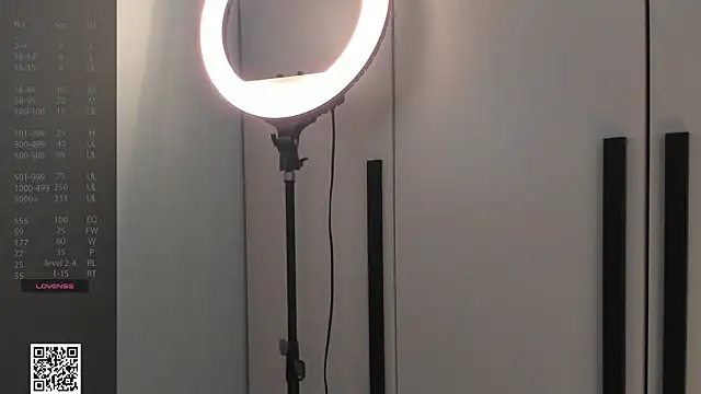 LubaStadt webcam