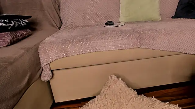 LexxiLow webcam