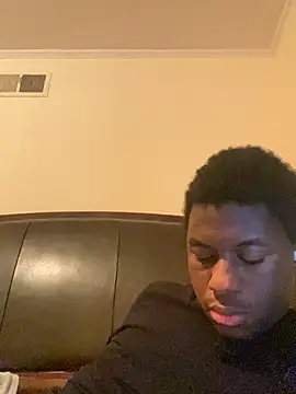 ThickDic28 webcam