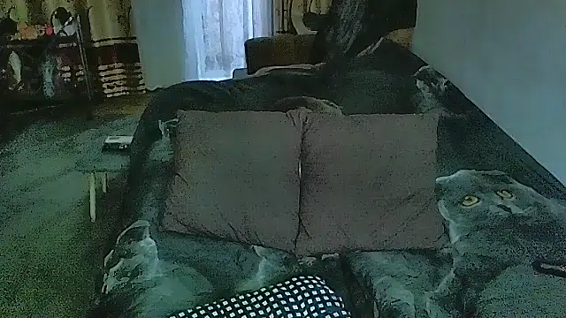sex2 webcam