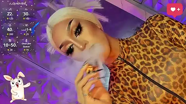 anitacruise webcam