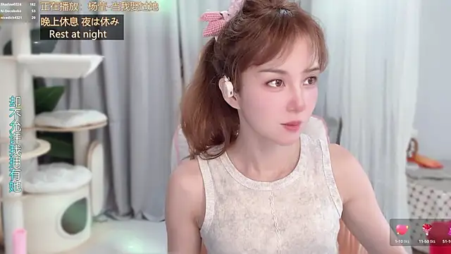 hi-AnAn webcam
